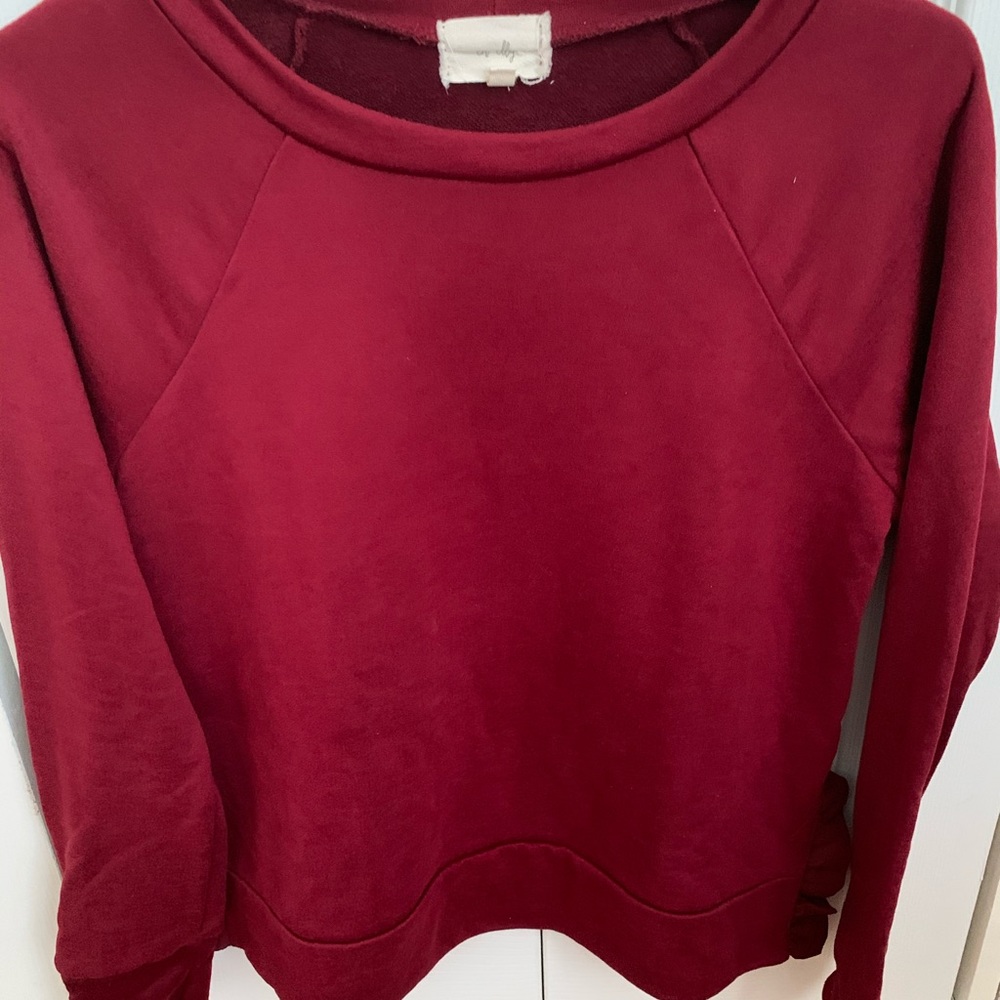 Anthropologie sweatshirt
